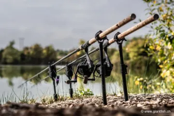 Support Arrière NASH All Terrain Butt Lock Xtreme