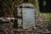 Picture of NASH Subterfuge Rucksack Backpack