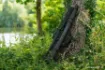 Image de Housse NASH Scope OPS Stink Bag
