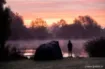 Immagine di Bivvy NASH Titan T1