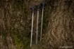 Immagine di Picchetti NASH Titan per bivvy