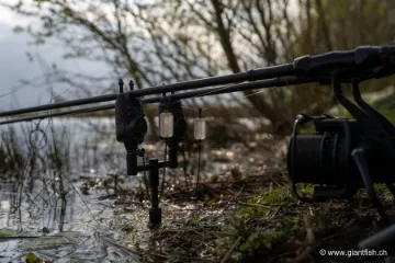 Hanger NASH Siren Bobbin Kit