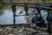 Immagine di Swinger NASH Siren Micro Swing Arm