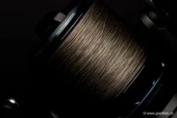 Tresse NASH Highline