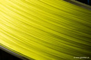 Tresse NASH Highline