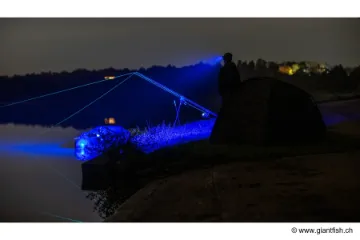 Tresse NASH Highline