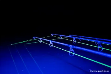 Tresse NASH Highline