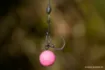 Bild von NASH Chod Claw Karpfenhaken
