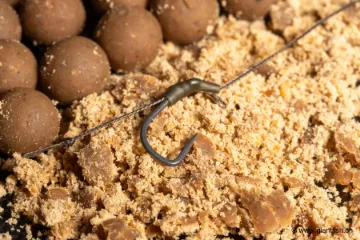 Bas de Ligne NASH Big Carp Rig