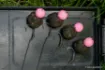 Image de Hameçon NASH Twister X