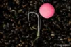 Picture of NASH Twister Long Shank X Carp Hook