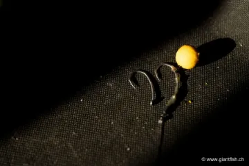 Hameçon NASH Claw Long Shank X