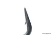 Picture of NASH Curve Shank X Carp Hook