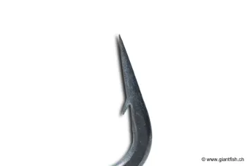 Hameçon NASH Curve Shank X