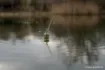 Image de Flotteur NASH Zig Float