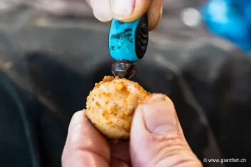 Vrille à Bouillette NASH Bore Tool