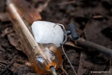 Mousse Soluble NASH Dissolving Foam Nuggets