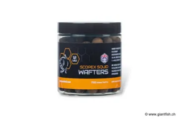 NASH Wafters