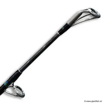 Canne Spinning SMITH OFFSHORE STICK GTK AMURO 300