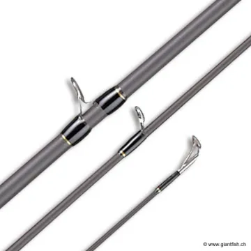 Canne Casting SMITH BAY LINER BL792HRF