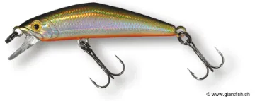 Leurre Coulant SMITH D-COMPACT 45 - 4.5 cm