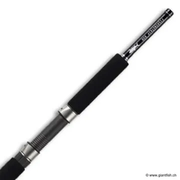 Canne Spinning SMITH DRAGONBAIT SEA-BASS FARAWAY