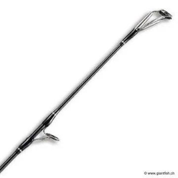 Canne Spinning SMITH DRAGONBAIT SEA-BASS FARAWAY