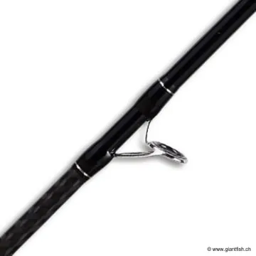 Canne Spinning SMITH DRAGONBAIT SEA-BASS TRAKEN 8