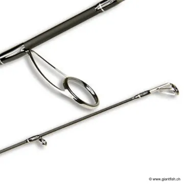 Canne Spinning SMITH DRAGONBAIT SEA-BASS LX - 5-25 g