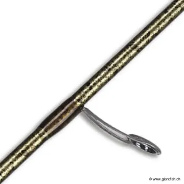 Canne Spinning SMITH DRAGONBAIT TROUT 8'3""""