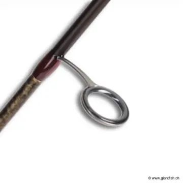 Canne Spinning SMITH DRAGONBAIT TROUT LX 6'6""""