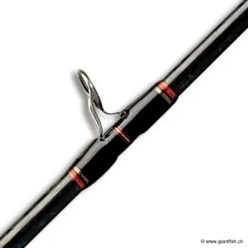 Canne Casting SMITH K.O.Z EXPEDITION C60XH - J2