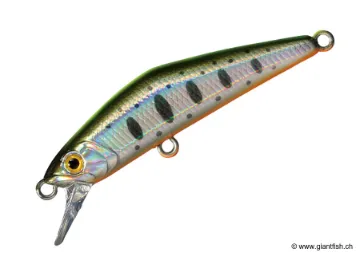 SMITH D-COMPACT 4,5cm 2g FES