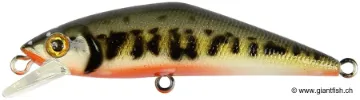 SMITH D-CONTACT SP 5cm 2,8g