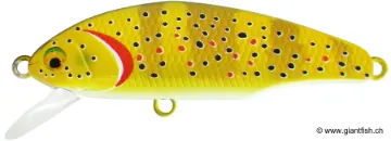 SMITH D-INCITE 5,3cm 5g