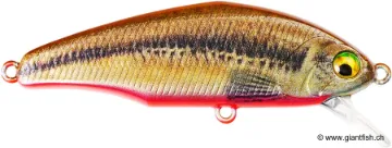 SMITH D-INCITE 5,3cm 5g