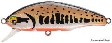 SMITH D-INCITE 6,4cm 7,6g