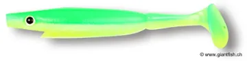 Leurre Souple CWC Piglet Shad - 10 cm
