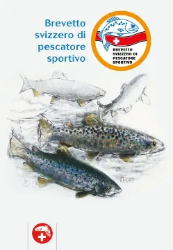 Picture of Swiss Sport Fishing Certificate – SaNa