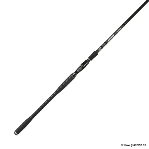 Canne Casting BFT Lizzard Pierre Monjarret Edition - 200 g