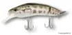 Image de Leurre de Surface ADUSTA Silent Blaster - 14 cm
