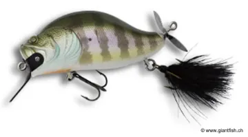 Leurre de Surface ADUSTA Zacrawl JR - 6.5 cm