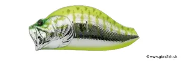 ADUSTA ZACRAWL JR DASH 6,5cm 19g