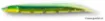 Leurre Souple FISH ARROW Flash J Shirasu 3"""" - 7 cm