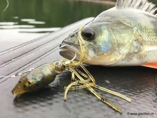 Leurre Souple FISH ARROW Flash J Squid 3.5"""" - 9 cm