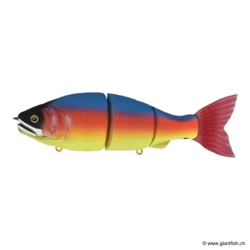 Gan Craft JOINTED CLAW RATCHET 184F