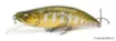 Bild von Sinkender Kunstköder Megabass Great Hunting 64 Humpback - 6.4 cm