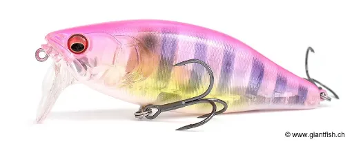 Leurre Flottant Megabass Kiss I-Jack - 10.8 cm
