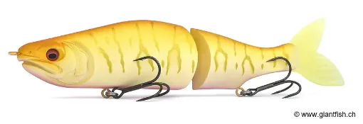 Leurre Suspending Megabass Kiss I Slide 187 R Intermediate - 18.7 cm