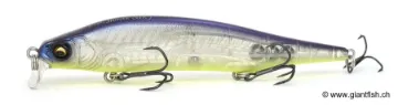 Leurre Flottant Megabass Kiss ITO SHINER SSR - 11.5 cm